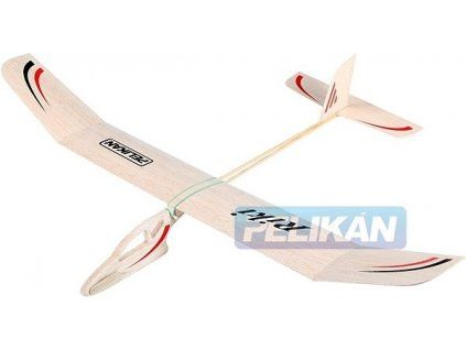 RIKI Segelflugzeug