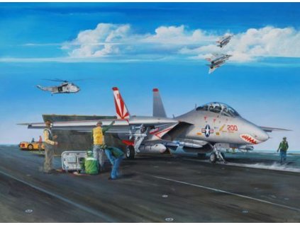 Grumman F-14A Tomcat 1/32