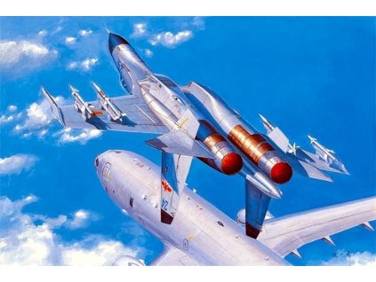 Shenyang J-11 B 1/48