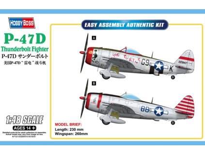 Republic P-47 D Thunderbolt Bubbletop 1/48