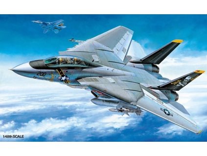 Grumman F-14 A Tomcat 1/48