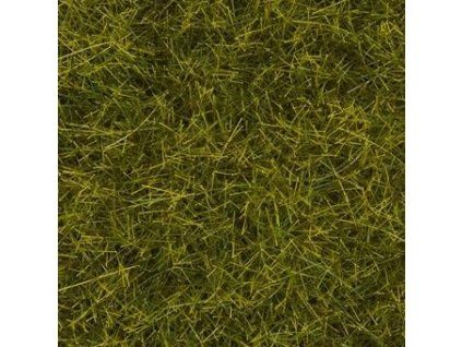 Wild diorama grass, meadow 6mm high 100g