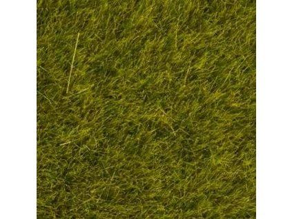 Grass sprinkle wild summer meadow 6 mm high 50 g