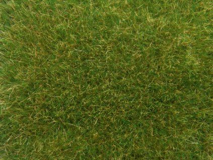 Diorama grass wild grass medium green 9mm high, static 50g