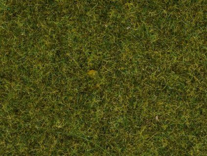 Diorama grass, meadow, 2.5 mm high, 120 g