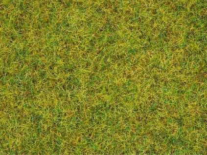 Diorama grass static - summer meadow 2.5mm high 20g