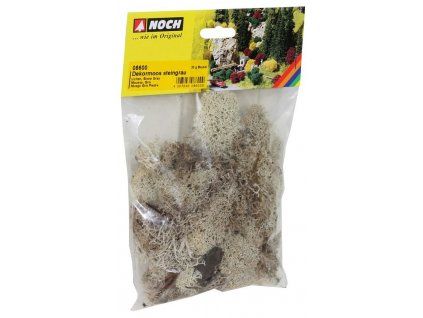 Diorama lichen gray 35g