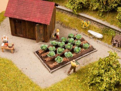 Weißkohl 16 Stück (Fläche 3x6cm) HO 1/72