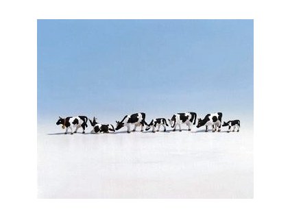 Cows black and white 7 pcs HO