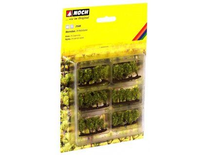 Vineyard - grapevine 24 pcs HO/TT