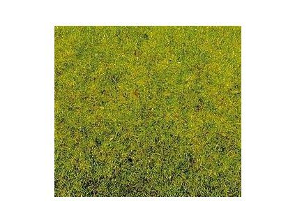 Diorama grass fresh green 2.5mm high static 100g