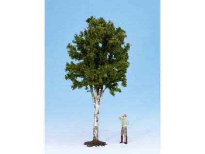 Deciduous tree - Birch 350 mm high G