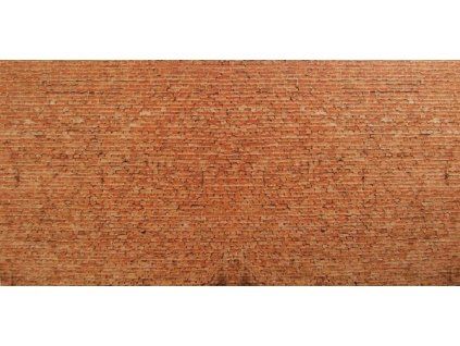 Cihla - list 25x12,5cm