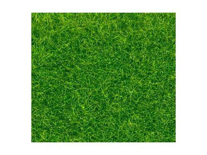 Sprinkle - light green grass 80g