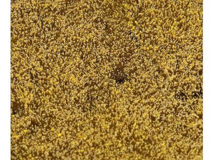 Kornfeld HO