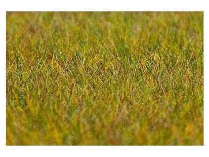 Grasstreuer hell 6 mm hoch statisch 30 g