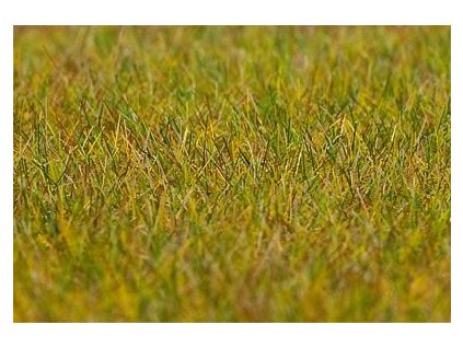 Posyp tráva do diorámy svetlá 6mm vysoká statická 30g