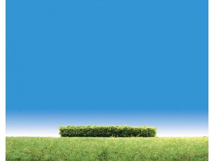 Shrubs 3 rows 10x1x1cm