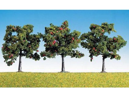 Apple tree 3 pcs 80 mm HO