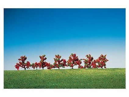 Shrubs with red flowers 6 pcs 4 cm HO