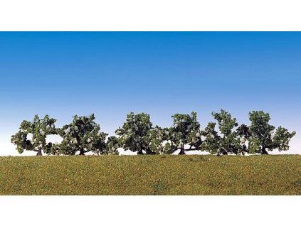 Kriky bílokvěté 6x HO