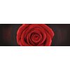 Rote Rose, Perlenstickset Miniart Crafts