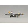 F-84 E-25, 8th FBS Collectible model 1/72