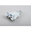 F-14B Tomcat VF-143 2001 hotový model 1/72