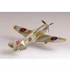 P-40 B/C Warhawk RAF Collectible model 1/72