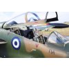 t 2 buckeye anniversary markings 1 32 specialhobby 05