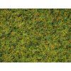 Grass sprinkle pasture mix HO/TT
