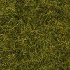 Grass sprinkle diorama XL, wild meadow 12 mm high, static 40g
