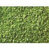 Diorama leaves light green 50 g HO/TT