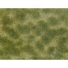 Diorama foliage green/beige 12 x 18 cm