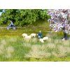 Natur+ spring meadow 22x20cm HO/TT
