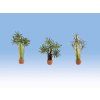 Ornamental palm trees 3 pcs HO 1/72