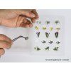 Aquatic and riverside plants for diorama 17 pcs Laser-Cut HO, 1/72