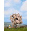 Fruit tree flowering 75 mm
