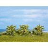 Diorama trees - Lemon tree 3 pcs 40mm high