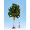 Strom listnatý - Breza 350 mm vysoká   G