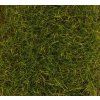 Grass for dioramas PREMIUM summer green static 12mm high 30g