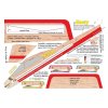 vyrp12 352MEpl