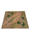 AMIG8487 dry summer grassland