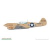 p 40n warhawk royal class dual combo 1 48 EDUARD R0025 011