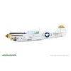p 40n warhawk royal class dual combo 1 48 EDUARD R0025 010
