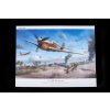 p 40n warhawk royal class dual combo 1 48 EDUARD R0025 023