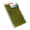 tuft 6mm wild grass savannah