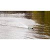 waveracer brushless 24ghz 100 rtr 500108061 06