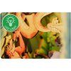 book nook tiny adventures disney the jungle book REVELL 00535 04