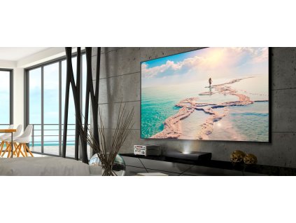 Optoma ALR101